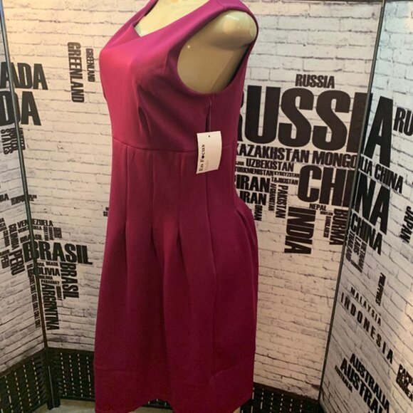 Enfocus Studio Berry Pleats Sleeveless Dress - Picture 5 of 6